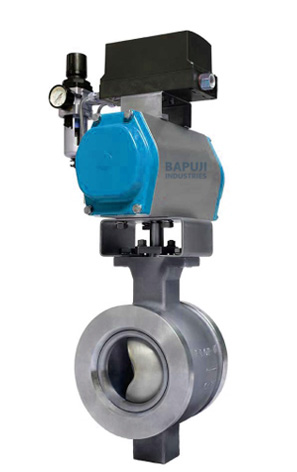 V notch ball valve India